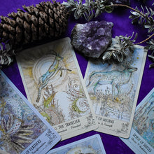 Load image into Gallery viewer, Spiritsong Tarot - Hello Violet
